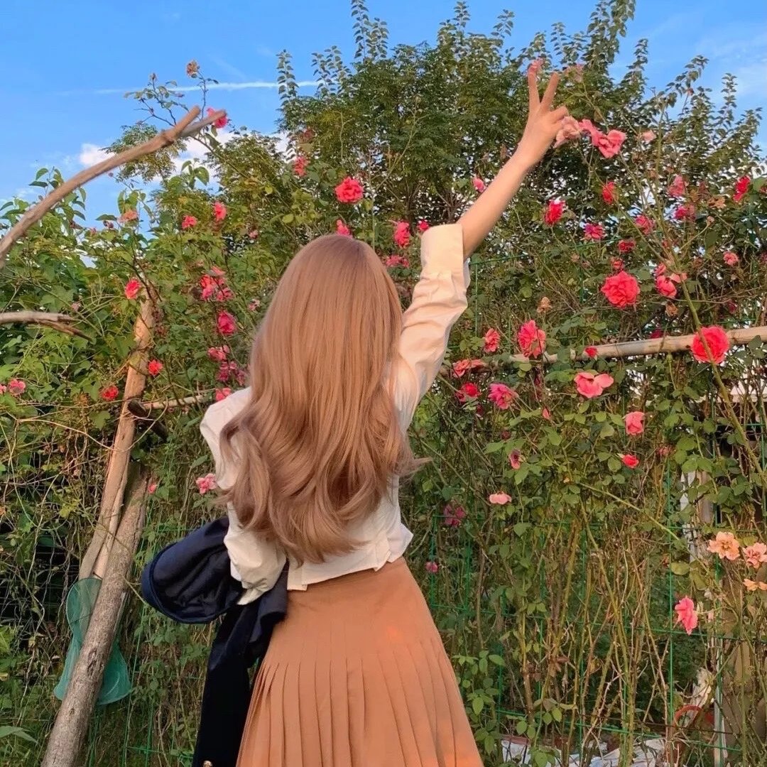 2026热播剧精选第009期